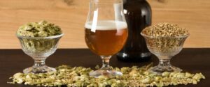 homebrewing tips for beginners